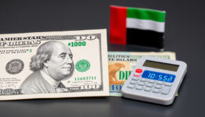 تحويل 13 دولار إلى درهم إماراتي بسعر ثابت